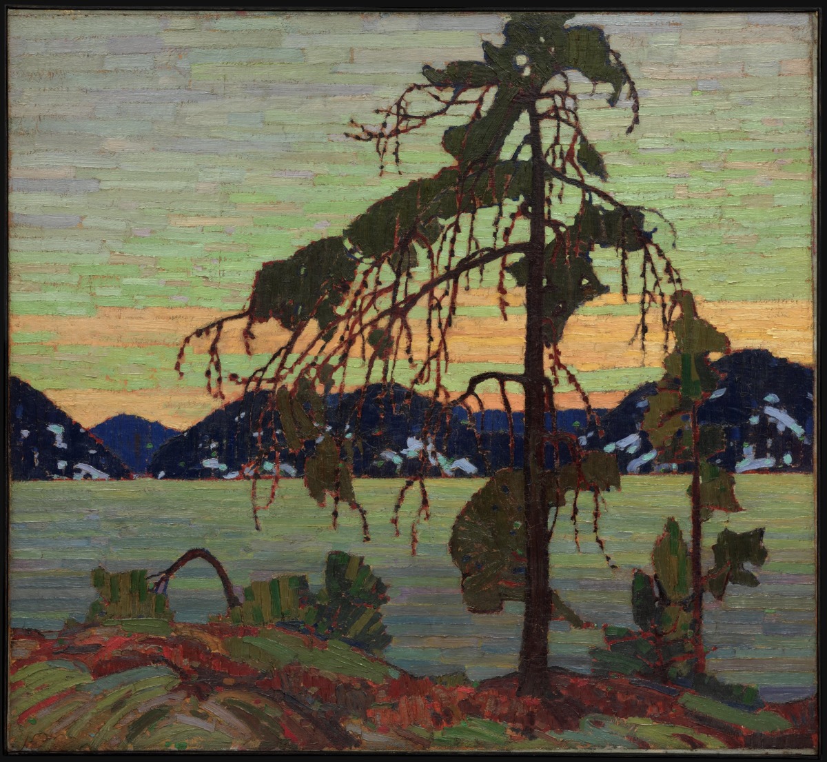 The Jack Pine by Tom Thomson