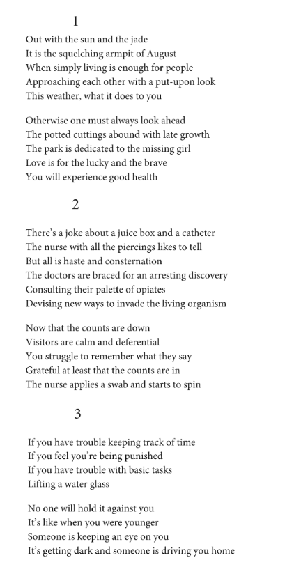 The poem "Blood Work" by Bardia Sinaee